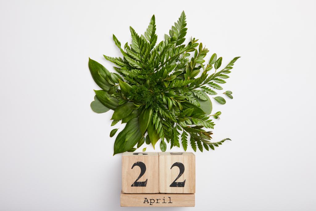 新鮮な緑のシダの葉と地球日コンセプト、灰色の背景に分離された木製のブロック カレンダーの構成 - 写真・画像