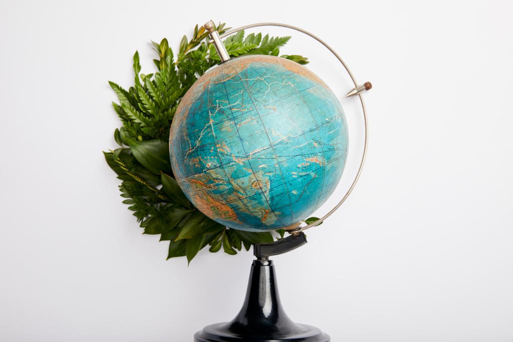 composition of fresh green fern leaves and globe isolated on grey background, earth day concept - Photo, Image