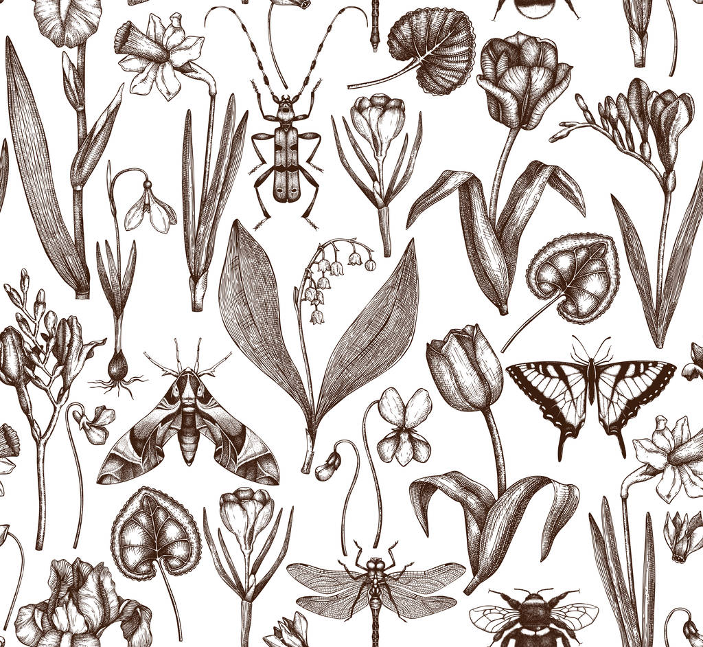 Handgetekende lentebloemen - Vector, afbeelding