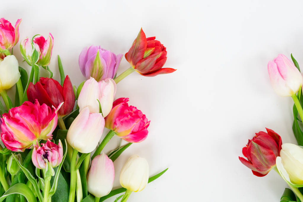 fiori di tulipani freschi - Foto, immagini