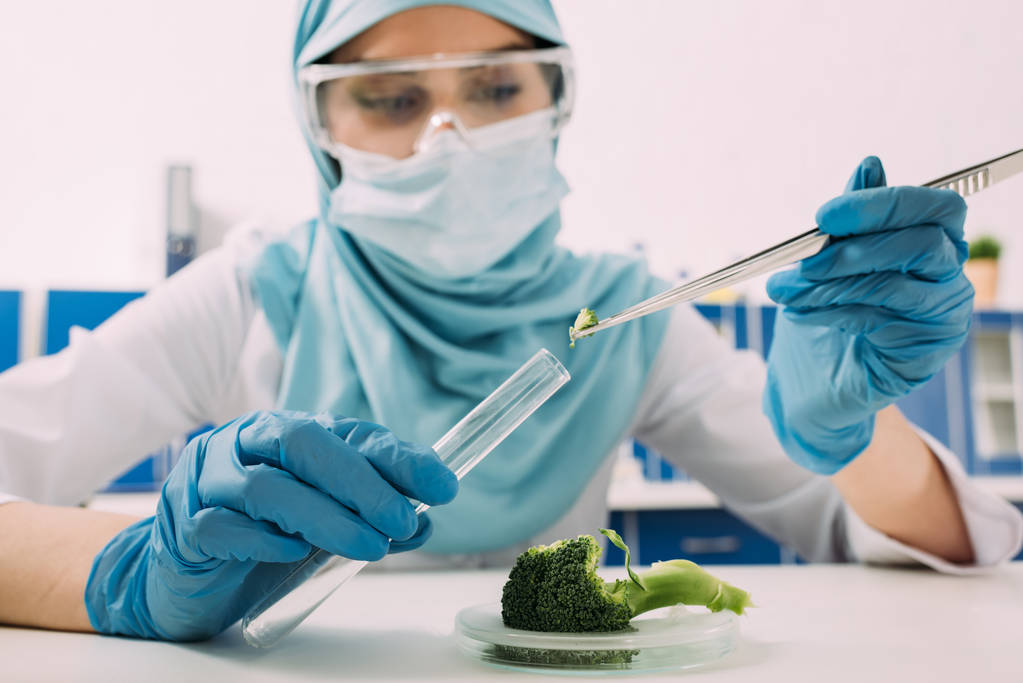 γυναίκα μουσουλμάνος επιστήμονας βάζοντας μπρόκολο δείγμα σε δοκιμαστικό σωλήνα, κατά τη διάρκεια πειράματος στο εργαστήριο - Φωτογραφία, εικόνα