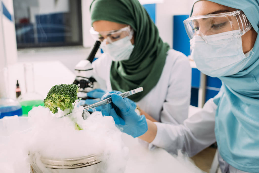 kobiet muzułmańskich naukowców eksperymentuje z suchego lodu i brokuły w laboratorium chemiczne - Zdjęcie, obraz