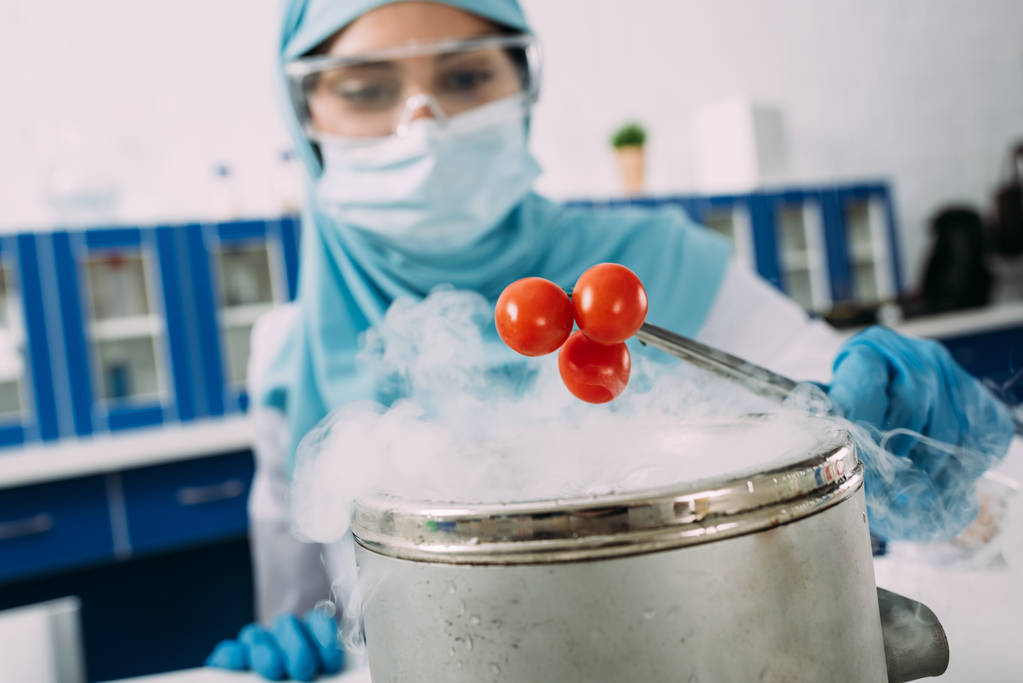 femme musulmane scientifique tenant des tomates avec une pince à épiler sur pot avec de la glace sèche pendant l'expérience en laboratoire
 - Photo, image
