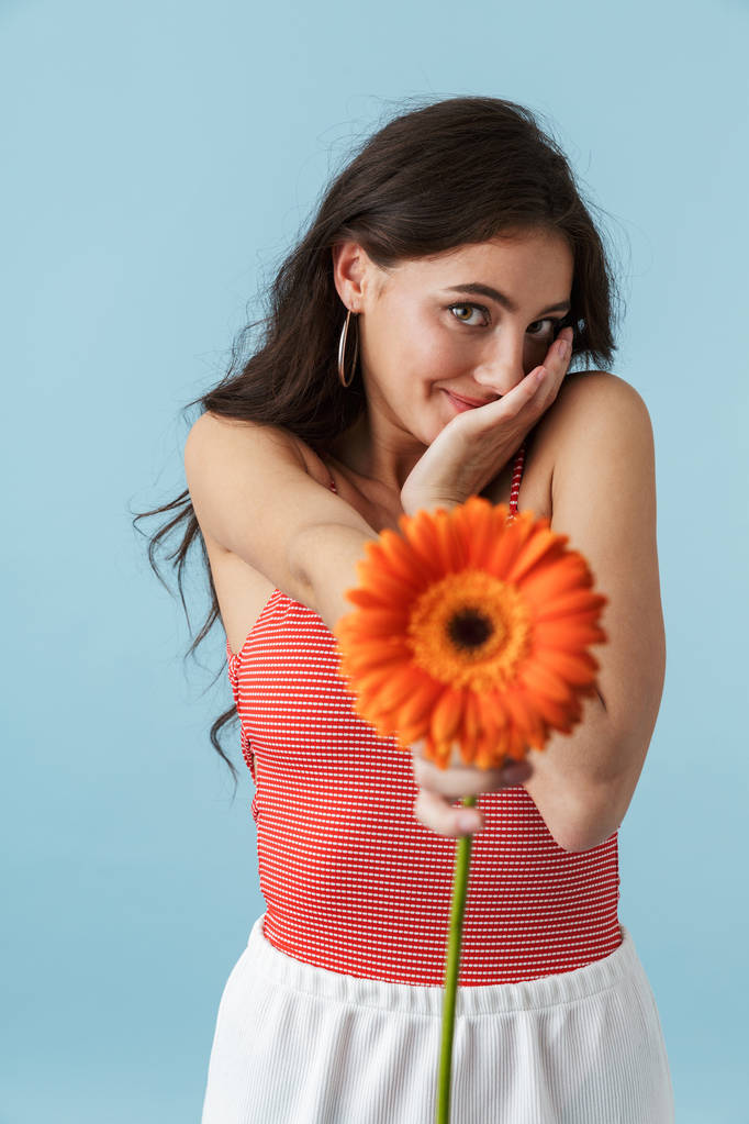 Immagine di una bella giovane donna eccitata che posa isolata su sfondo blu della parete che tiene il fiore
. - Foto, immagini