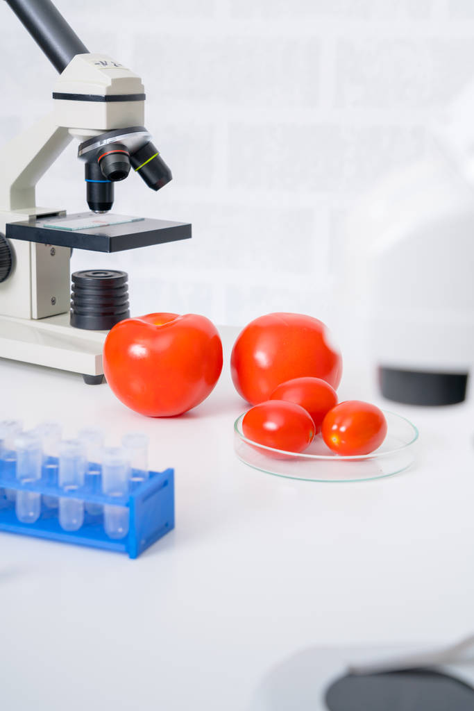 Genetic breeding of vegetables in lLaboratory , analyzing food quality - Photo, Image