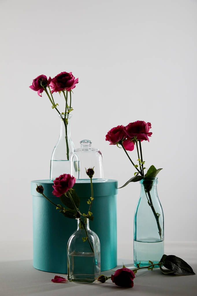 rosa Rosen in transparenten Flaschen mit türkisfarbenem Geschenkkarton isoliert auf grau mit Schatten - Foto, Bild