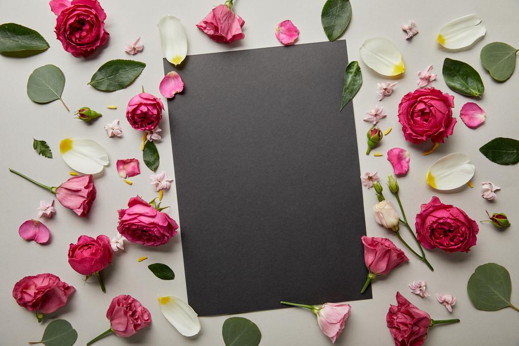 vista dall'alto di carta bianca nera con rose rosa e petali isolati su grigio
 - Foto, immagini