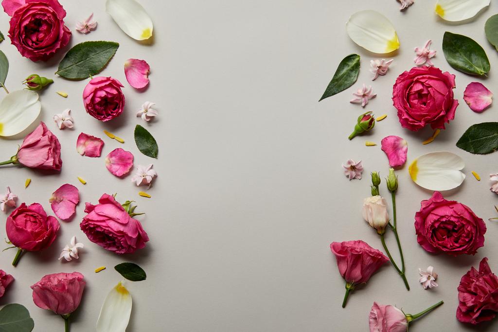 top view of floral frame made of pink roses and petals isolated on grey with copy space - Photo, Image