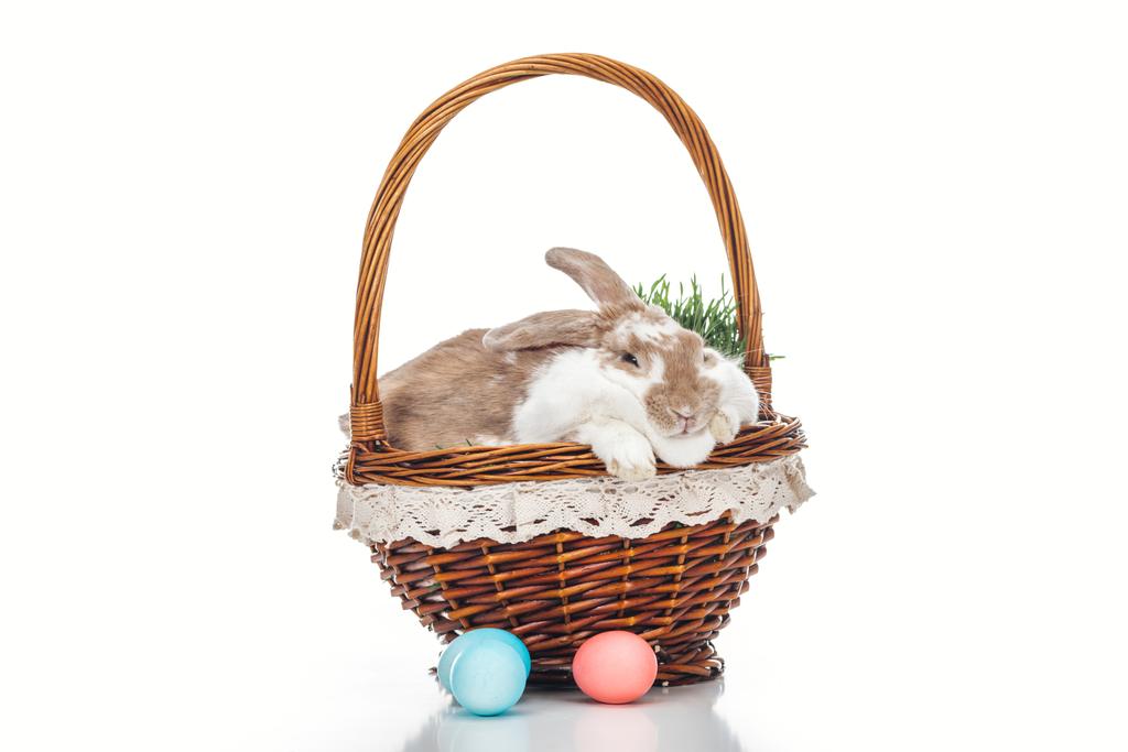 барвисті великодні яйця біля плетеного кошика з милим кроликом і травою на білому
 - Фото, зображення