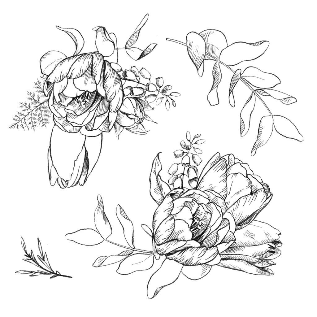 Desenho a lápis preto e branco ilustração de flores de tulipa e
  - Foto, Imagem