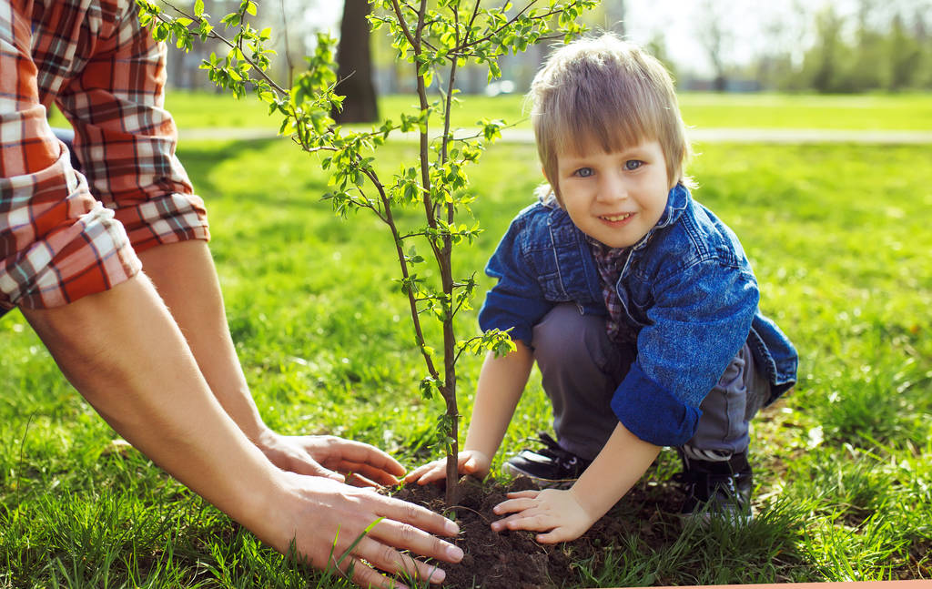 手を繋いでいる子を持つ父。小さな男の子が庭で一緒に作業しながら木を植えるための彼の父を助けます。日曜日。笑顔。春の時間です。スプラウトを育てるためのボランティア  - 写真・画像