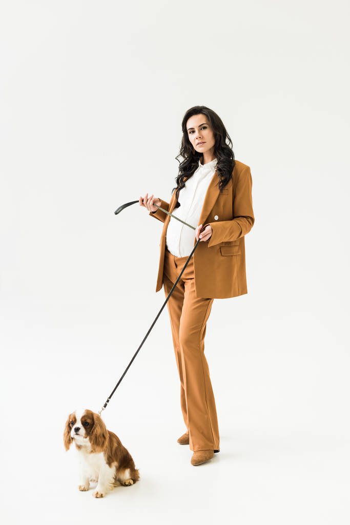 Mujer embarazada con estilo en traje marrón de pie cerca de perro sobre fondo blanco
 - Foto, imagen