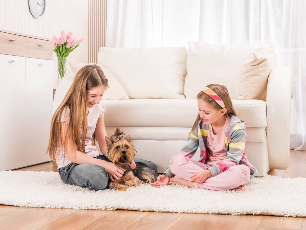 Two girls playing with yorkie - Photo, Image