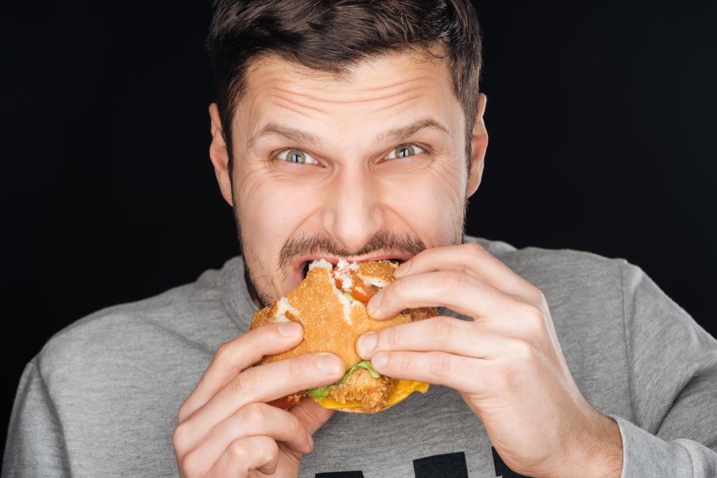szép ember eszik ízletes csirke burger, miközben nézi a kamera fekete elszigetelt - Fotó, kép