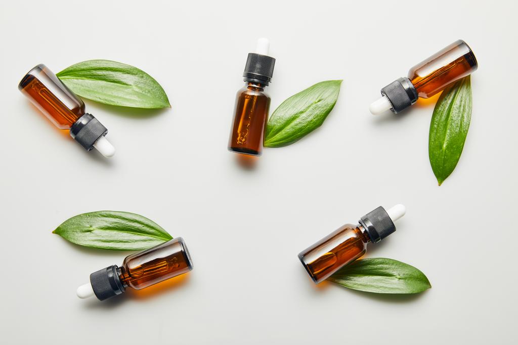 Flat lay with bottles of essential oil with green leaves on grey background - Photo, Image