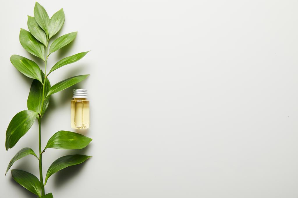 Top view of essential oil in bottle and green leaves on white background - Photo, Image