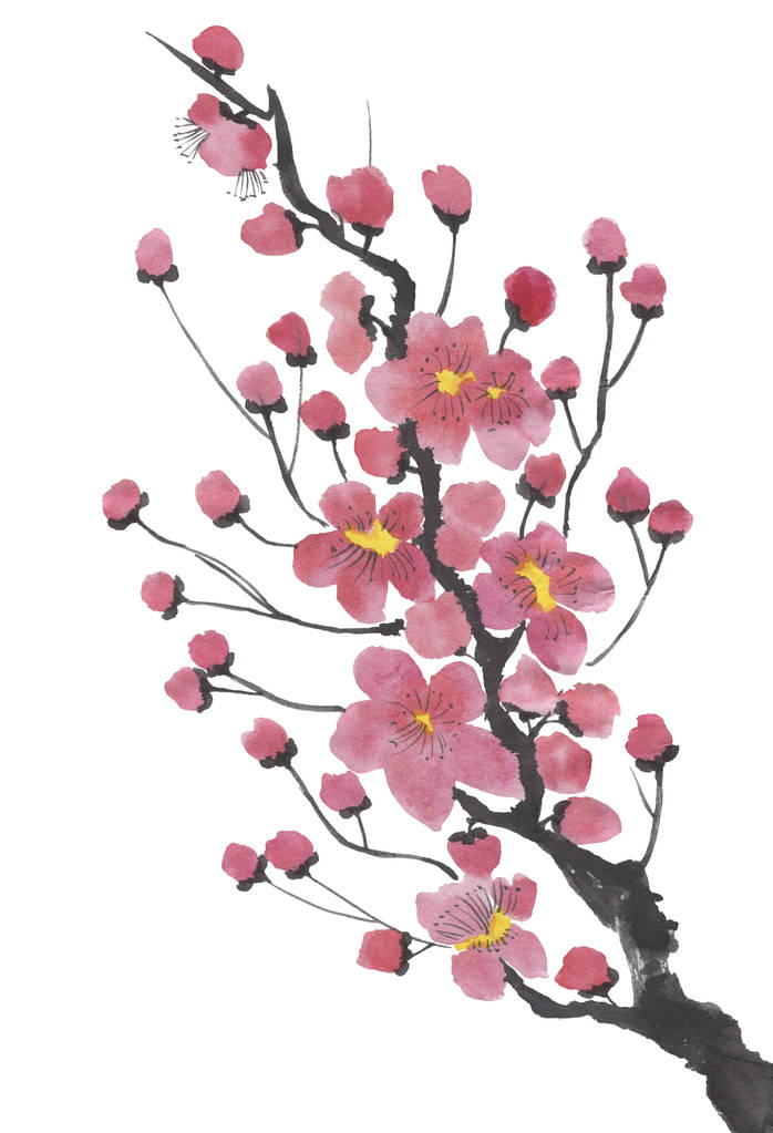 Gałąź kwitnąca sakura. Czerwony i różowy stylizowane kwiaty śliwy mei i wild cherry. Akwarela i tusz ilustracja drzewa w stylu sumi-e, go-hua, u grzech. Tradycyjny obraz orientalne. - Zdjęcie, obraz