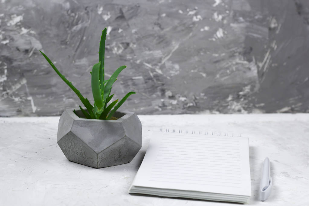 succulent in a concrete pot and opened notebook with empty sheet - Photo, Image