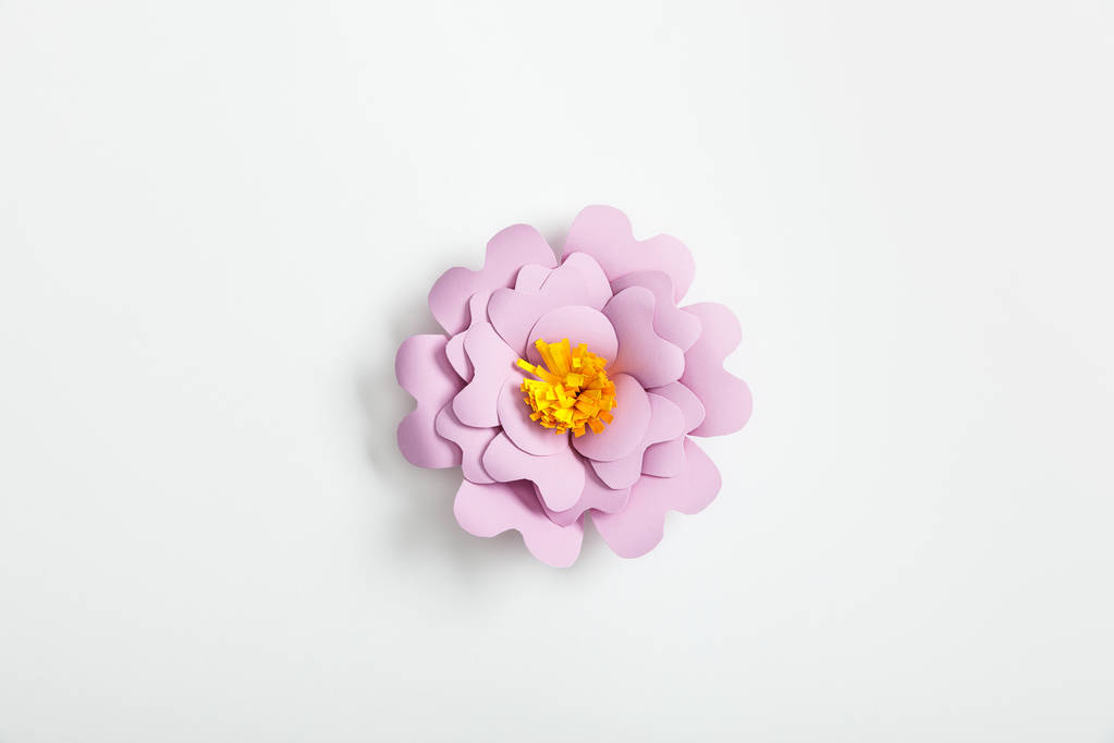 vue du dessus de la fleur de papier lilas sur fond gris
 - Photo, image