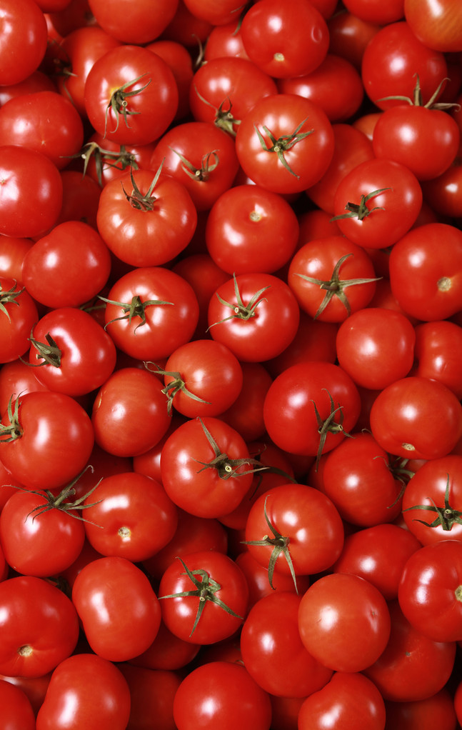 tomato background - Photo, Image