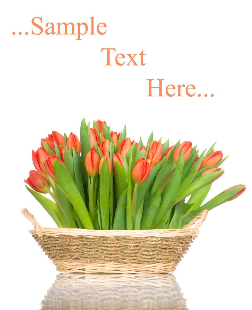 tulipany w koszu na białym tle - Zdjęcie, obraz