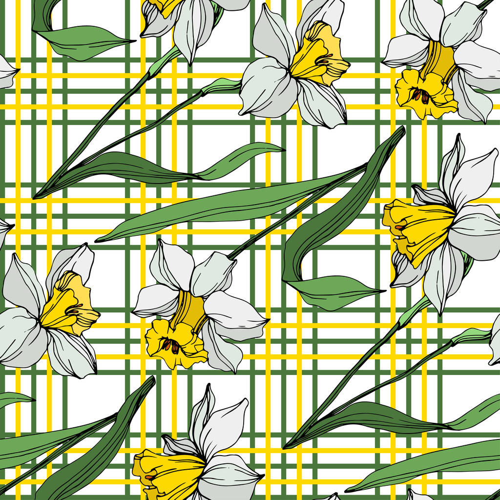 Vektor weiße und gelbe Narzissenblüten mit grünen Blättern. Tuschekunst auf weißem Hintergrund eingraviert. nahtloses Hintergrundmuster.  - Vektor, Bild