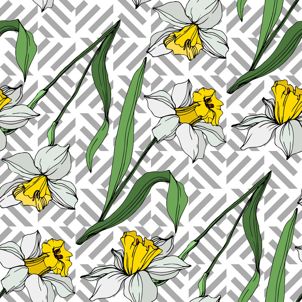 Vector blanco y amarillo narciso flores con hojas verdes. Tinta grabada sobre fondo blanco. Patrón de fondo sin costuras
.  - Vector, imagen