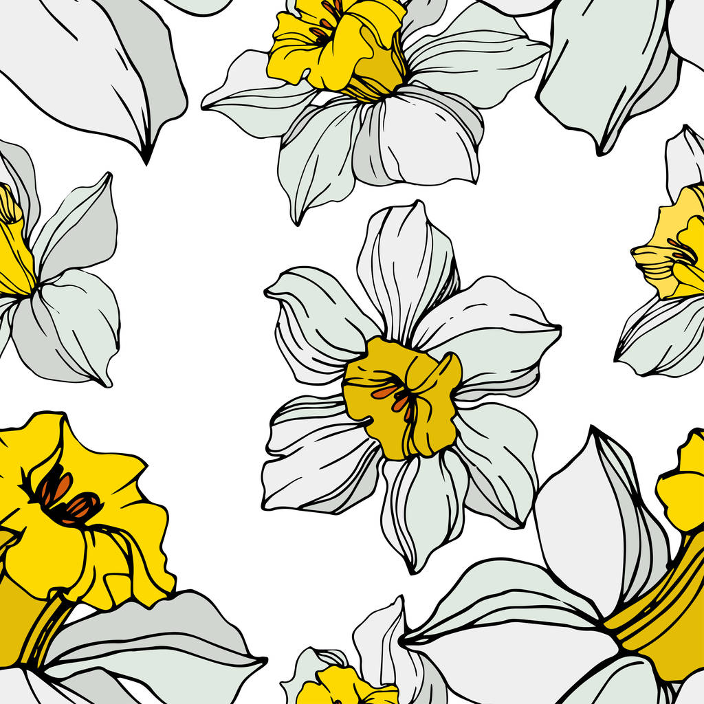Fleurs narcisses vectorielles blanches et jaunes aux feuilles vertes. Encre gravée sur fond blanc. Modèle de fond sans couture
.  - Vecteur, image