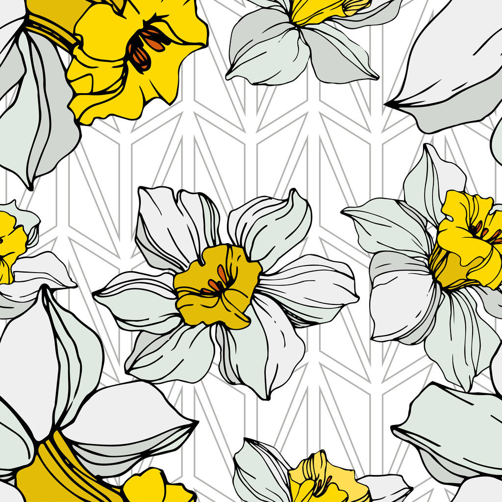 Vektor fehér és sárga nárcisz virág, zöld levelekkel. Vésett tinta art fehér háttér. Varratmentes háttérben minta.  - Vektor, kép