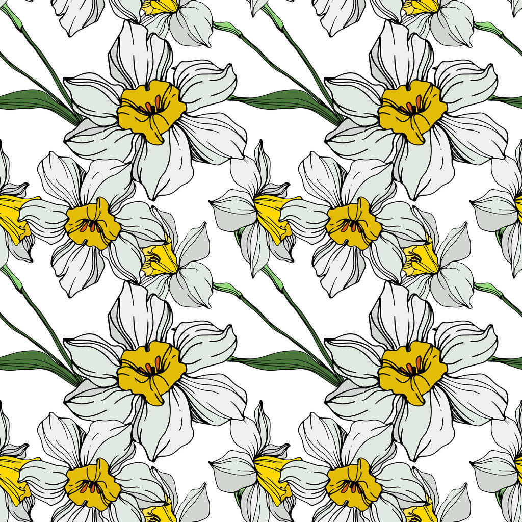 緑の葉に白と黄色の水仙の花をベクトルします。白い背景に刻まれたインク アート。シームレスな背景パターン.  - ベクター画像