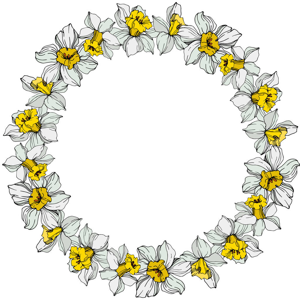 Διάνυσμα νάρκισσος λευκά λουλούδια με πράσινα φύλλα. Τέχνη χαραγμένο μελάνι σε λευκό φόντο. Πλαίσιο συνόρων στολίδι με αντίγραφο χώρου. - Διάνυσμα, εικόνα
