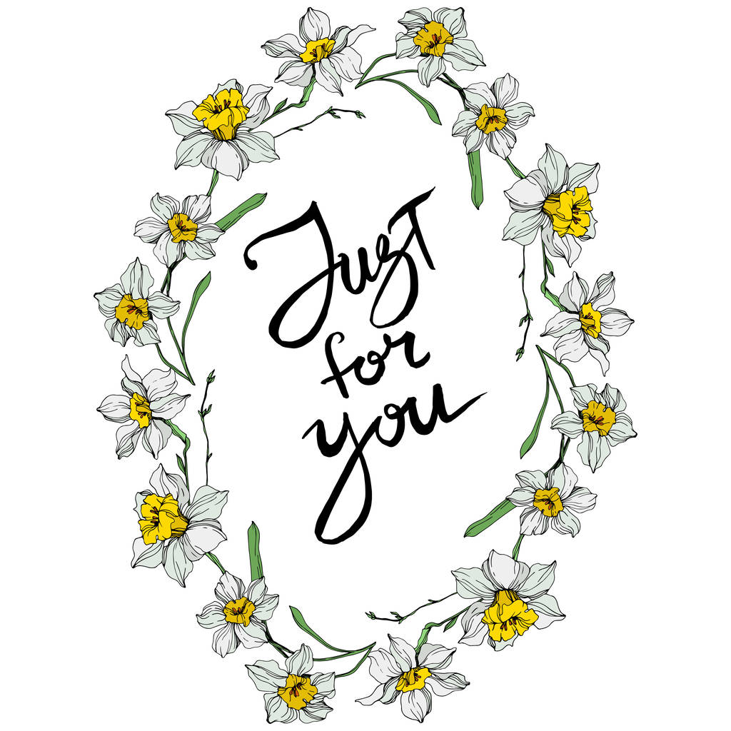 Vector White narcissus flowers. Engraved ink art on white background. Frame border ornament with just for you lettering. - Vector, Image