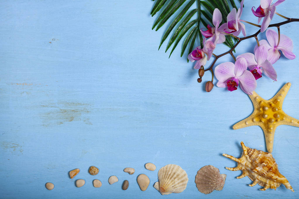 Orchid, seashells, starfish and leaf of palm tree - Photo, Image