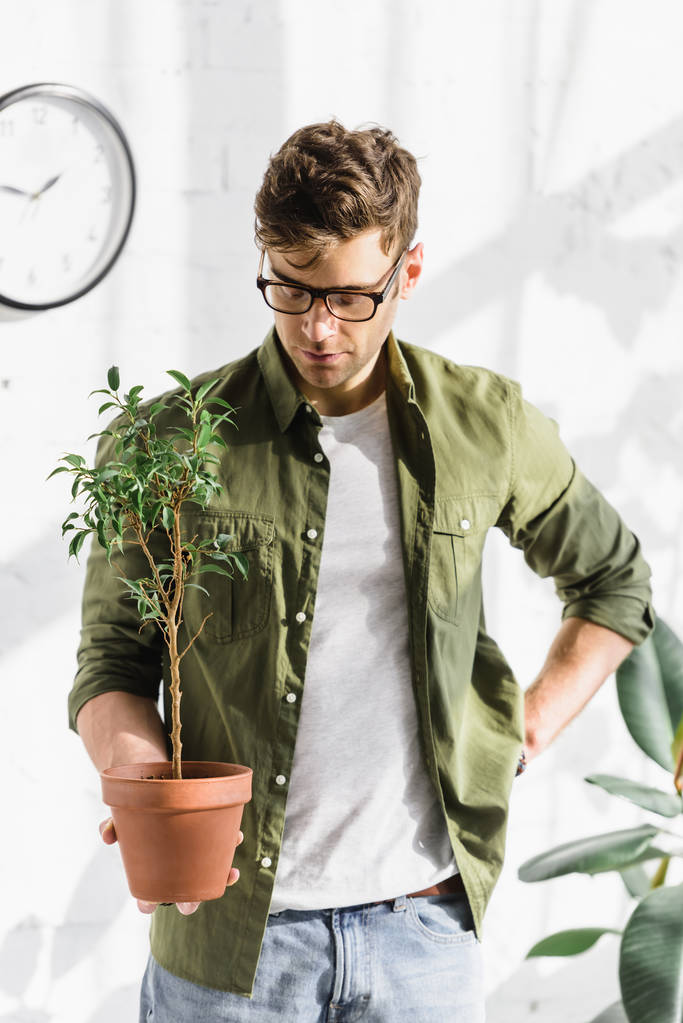 poważny człowiek w koszuli i okularach trzymając garnek z roślin w pobliżu mur z cegły w biurze - Zdjęcie, obraz