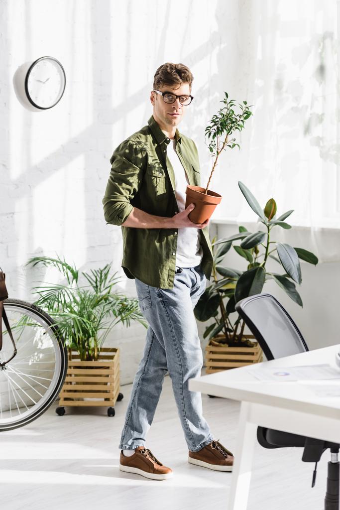 knappe man in groene shirt en spijkerbroek permanent en die pot met plant in kantoor  - Foto, afbeelding