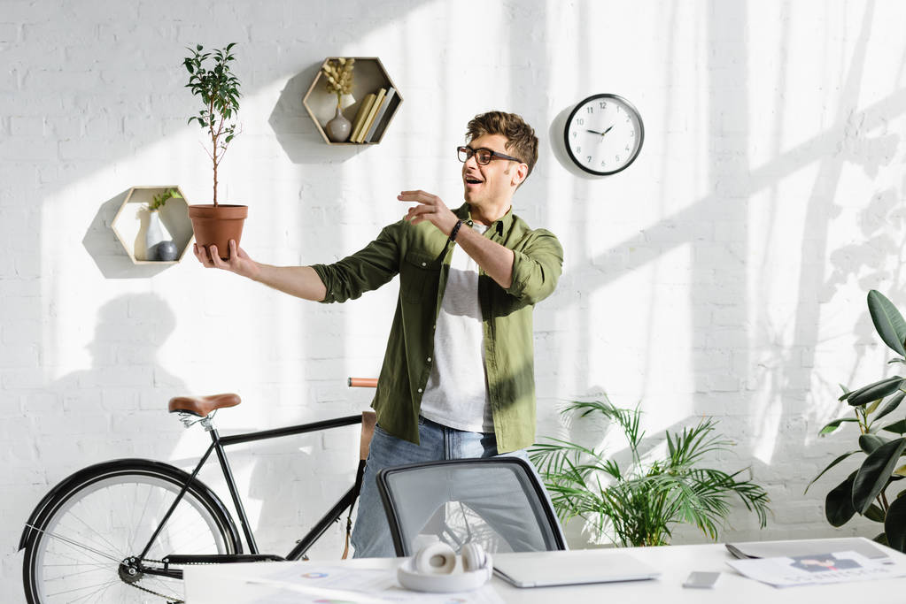tricky handsome man in green shirt and jeans holding pot with plant in office  - Photo, Image
