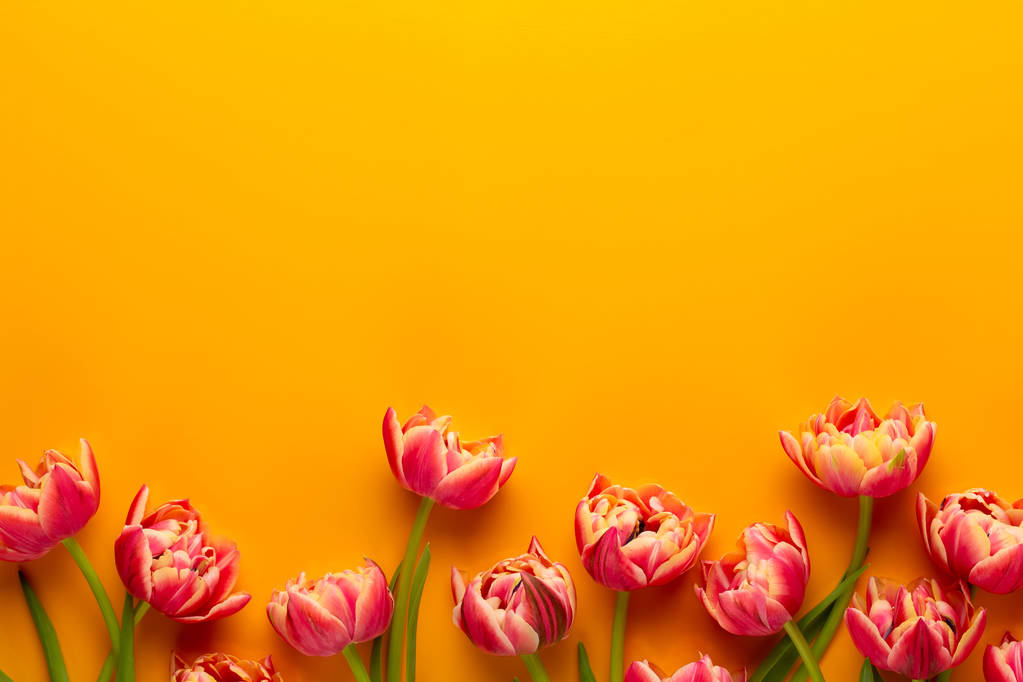 Весенние цветы, тюльпаны на фоне пастельных цветов. Ретро-винтаг
 - Фото, изображение