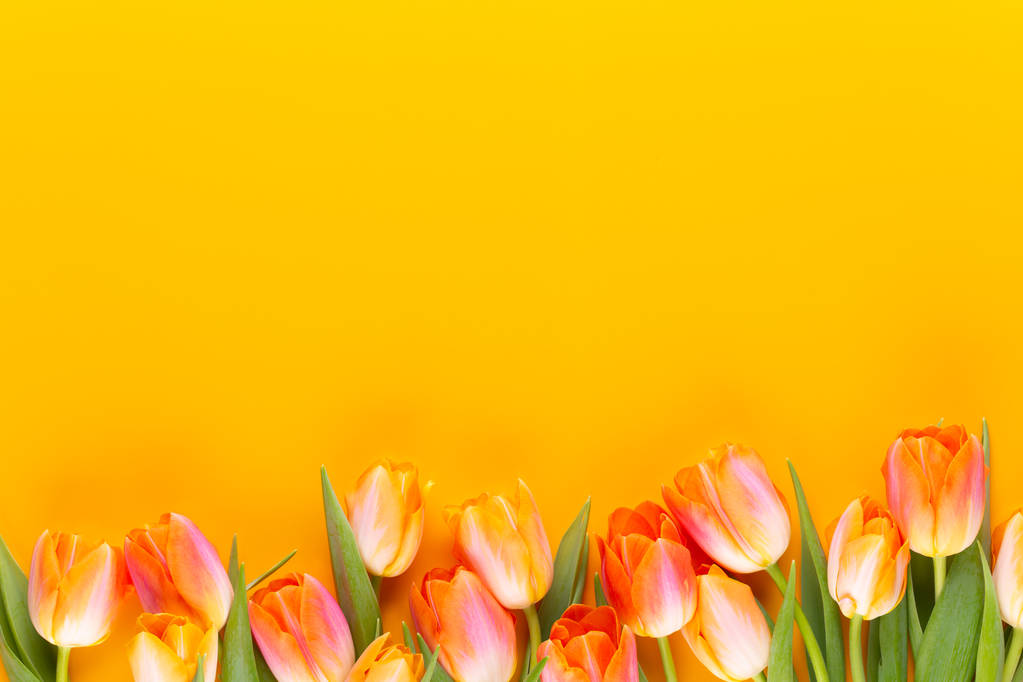 Pasteles amarillos tulipanes de color sobre fondo amarillo
. - Foto, imagen
