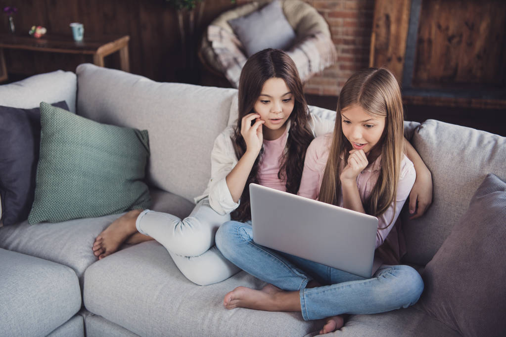 Portrait of two nice-looking lovely attractive charming clever smart funny curious girls sitting on divan using laptop reading book education tutorial in house loft industrial interior style - Photo, Image