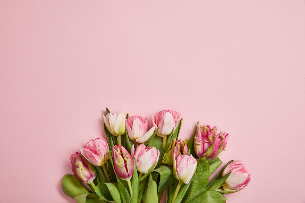 top view of beautiful pink tulips with green leaves on pink background - Photo, Image