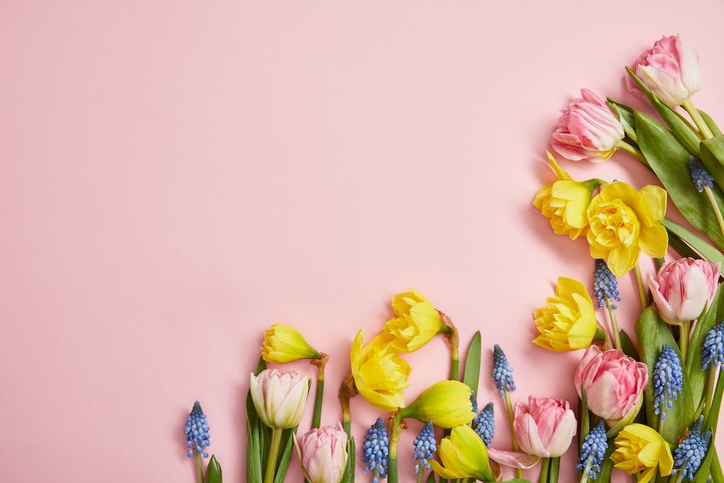 新鮮なピンクのチューリップ ヒヤシンスの青および黄色いスイセンの花のピンクの背景の平面図 ロイヤリティフリー写真 画像素材