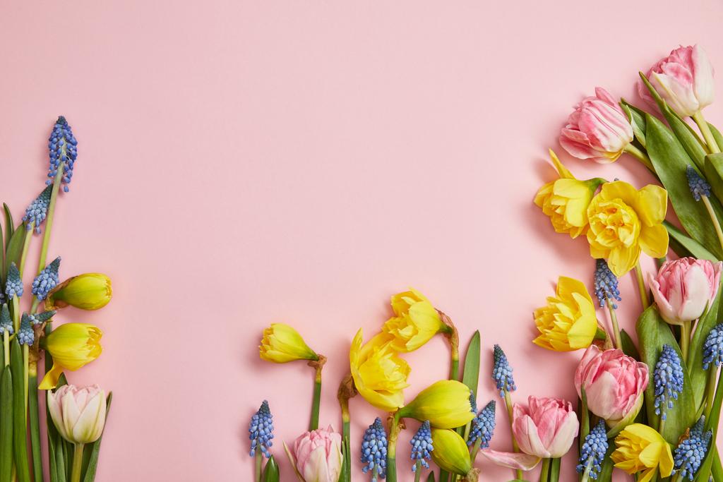 top view of fresh pink tulips, blue hyacinths and yellow daffodils on pink background - Photo, Image
