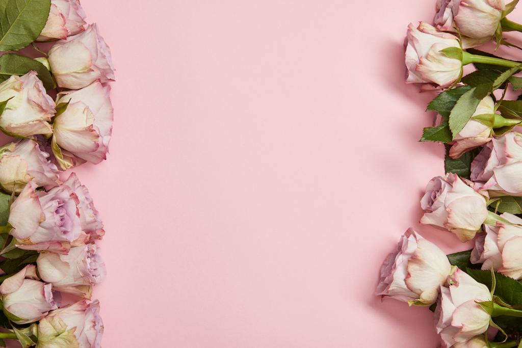 bovenaanzicht van prachtige roze rozen met groen laat verticaal gerangschikt op roze achtergrond - Foto, afbeelding