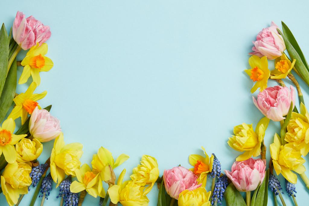 pohled shora z růžové tulipány, žluté narcisy, modré hyacinty na modrém podkladu s kopií prostor - Fotografie, Obrázek