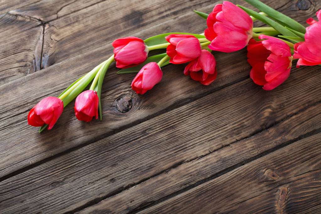 tulipanes rojos sobre fondo de madera oscura - Foto, Imagen