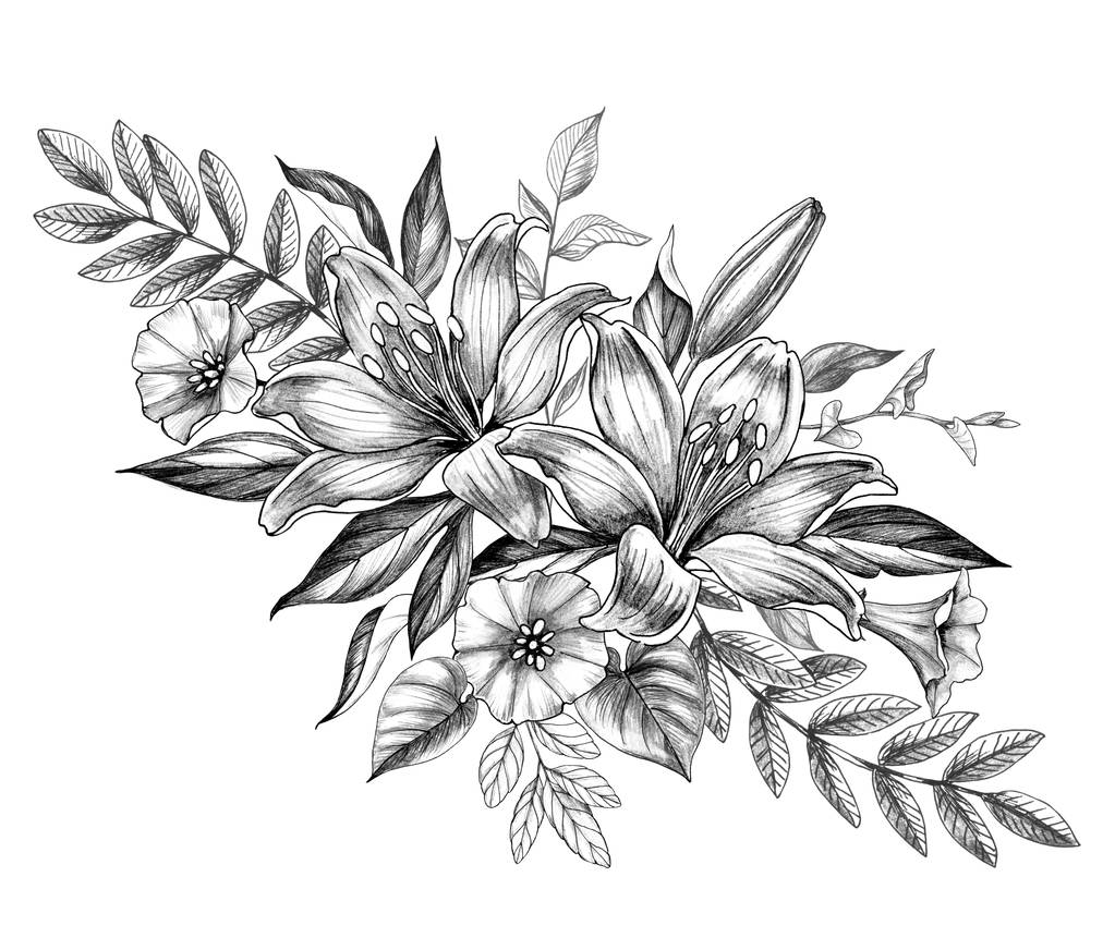 Fleurs de Lys et de Bindweed dessinées à la main
 - Photo, image
