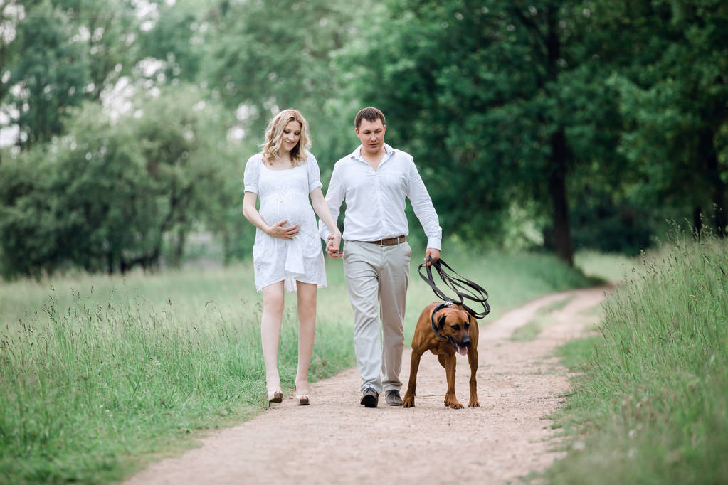 nuori aviomies ja vaimo puhuvat aika kävellä puistossa
 - Valokuva, kuva