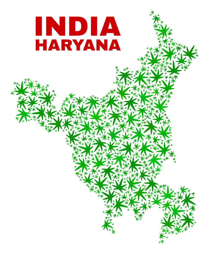 Cannabis bladeren mozaïek staat Haryana kaart - Vector, afbeelding