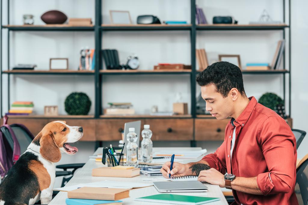 Opiskelija koiran kanssa istuu pöydässä ja kirjoittaa muistikirjaan
 - Valokuva, kuva