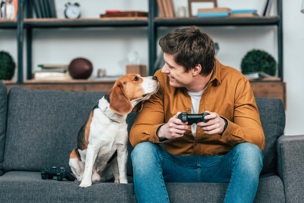 Jovem sorridente com gamepad sentado no sofá e olhando para o cão
 - Foto, Imagem